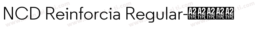 NCD Reinforcia Regular字体转换